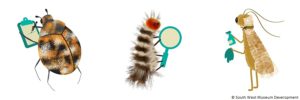 Three animated insects representing the Pest Partners project - a beetle holding a clipboard, a woolly bear holding a magnifying glass and a moth holding a spray bottle