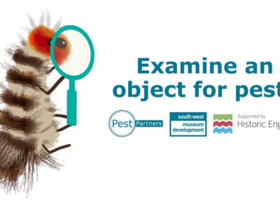 Collections: Pest Partners How-to Video Guides: Examining an object for pests