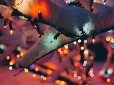 Colourful fairy lights wrapped around snow-covered tree branches.