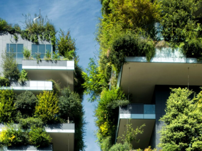 Living walls covered in plants, seen on white buildings with blue sky
