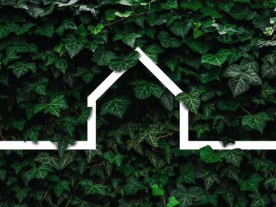 White outline of a house placed against living wall backdrop of ivy leaves
