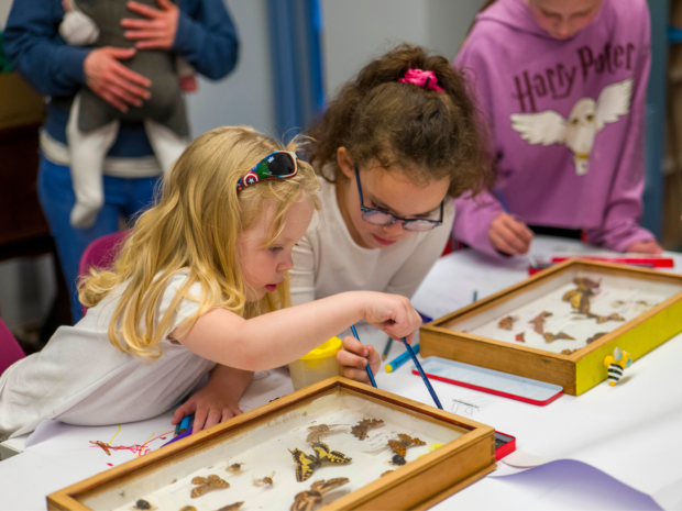Two young girls looking at two cases of preserved butterflies